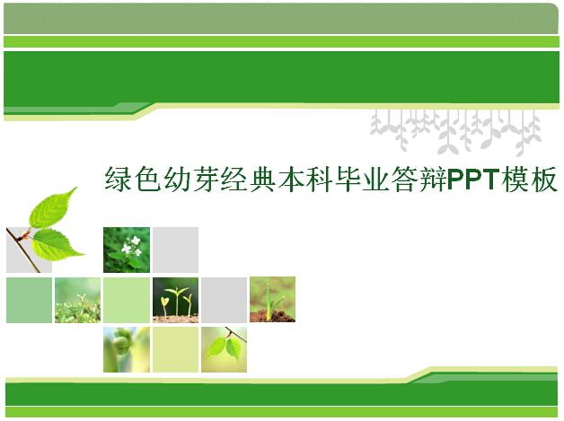 绿色幼芽经典本科毕业答辩PPT模板插图