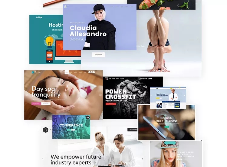 WordPress响应式拖拽编辑html5响应式主题Bridge汉化主题插图3