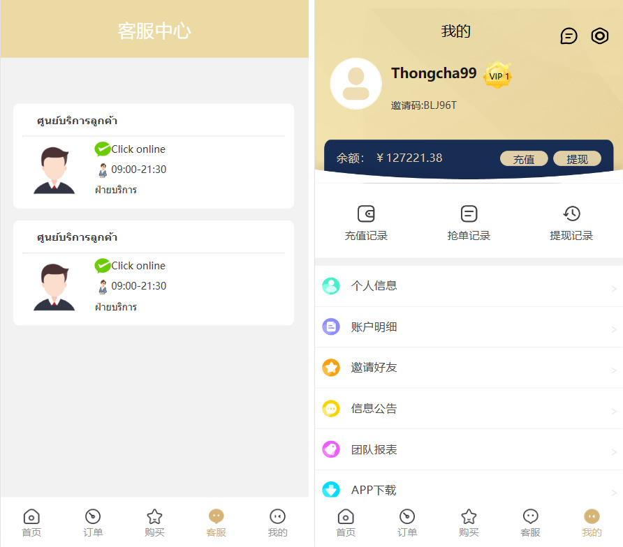 基于TP开发的9国语言海外多语言刷单抢单源码+9色前端UI插图2